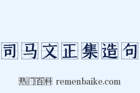 司马文正集造句是什么意思的图片